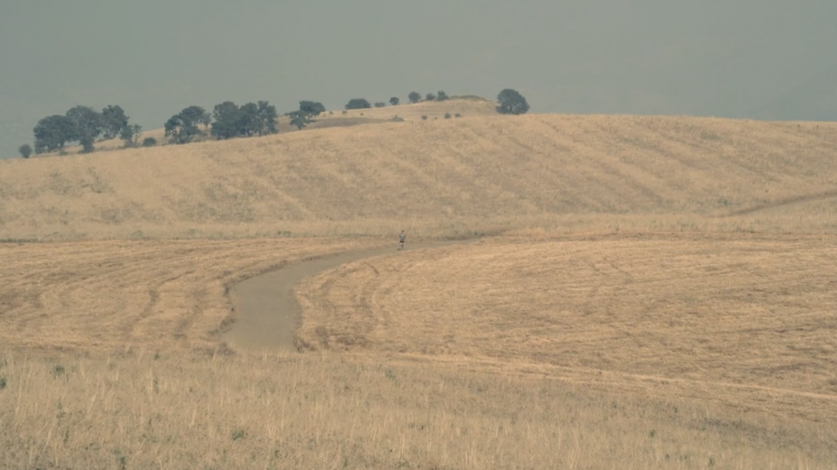 A man runs on a winding road through an open field.