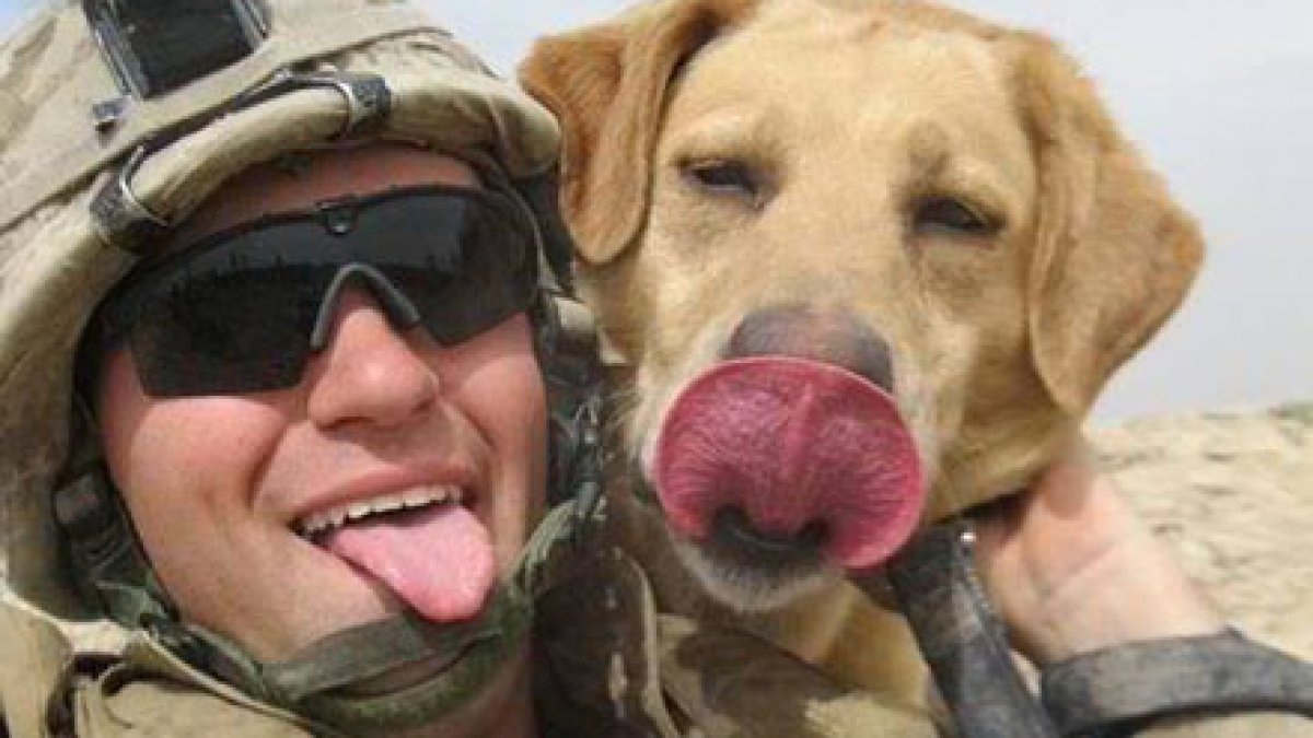 Zach Johnson, who served in the Marine Corps as a dog handler, takes a candid photo with a dog in Afghanistan