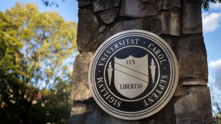 he seal of the University of North Carolina at Chapel Hill affixed to a stone pillar at the Cameron Avenue entrance. (Jon Gardiner/UNC-Chapel Hill)