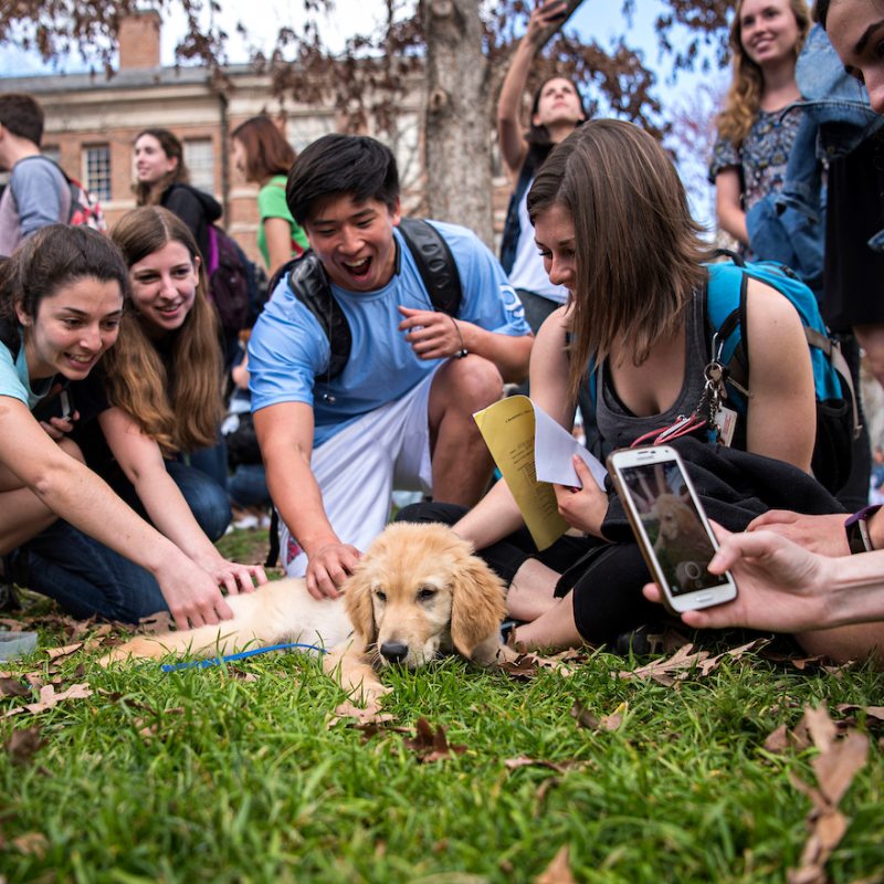 Students pet a dog.
