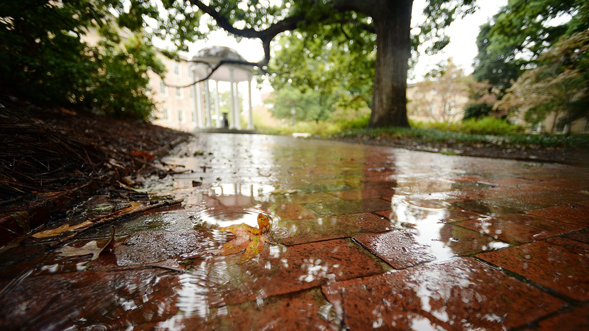 Puddles on a brick walkway.