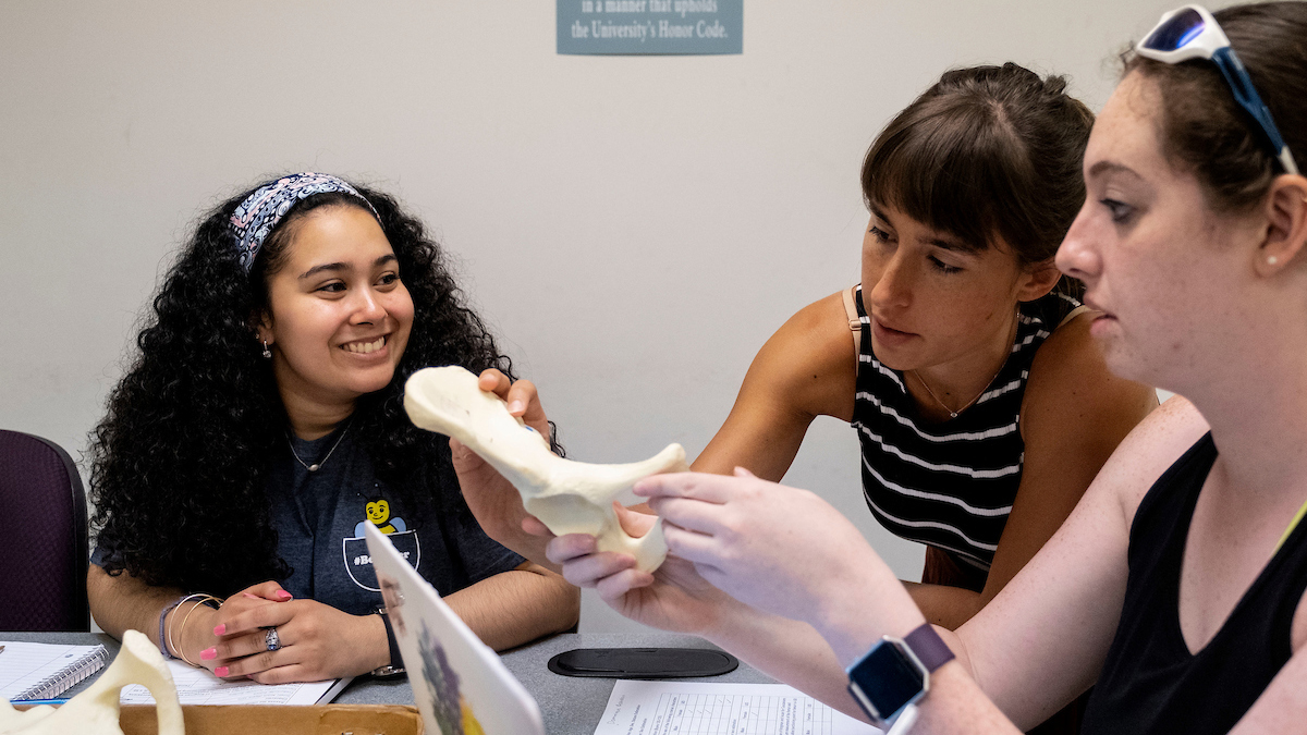 Students handle model bones