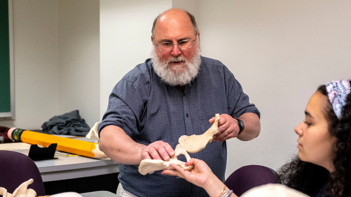 Professor shows student a model bone