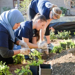 Students digging in a garden.