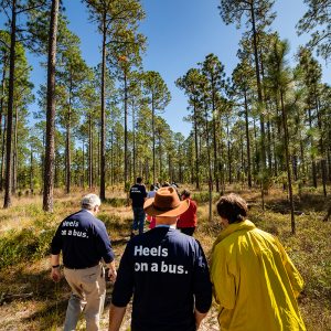 A group of faculty members walk through the woods at Green Swamp Preserve.