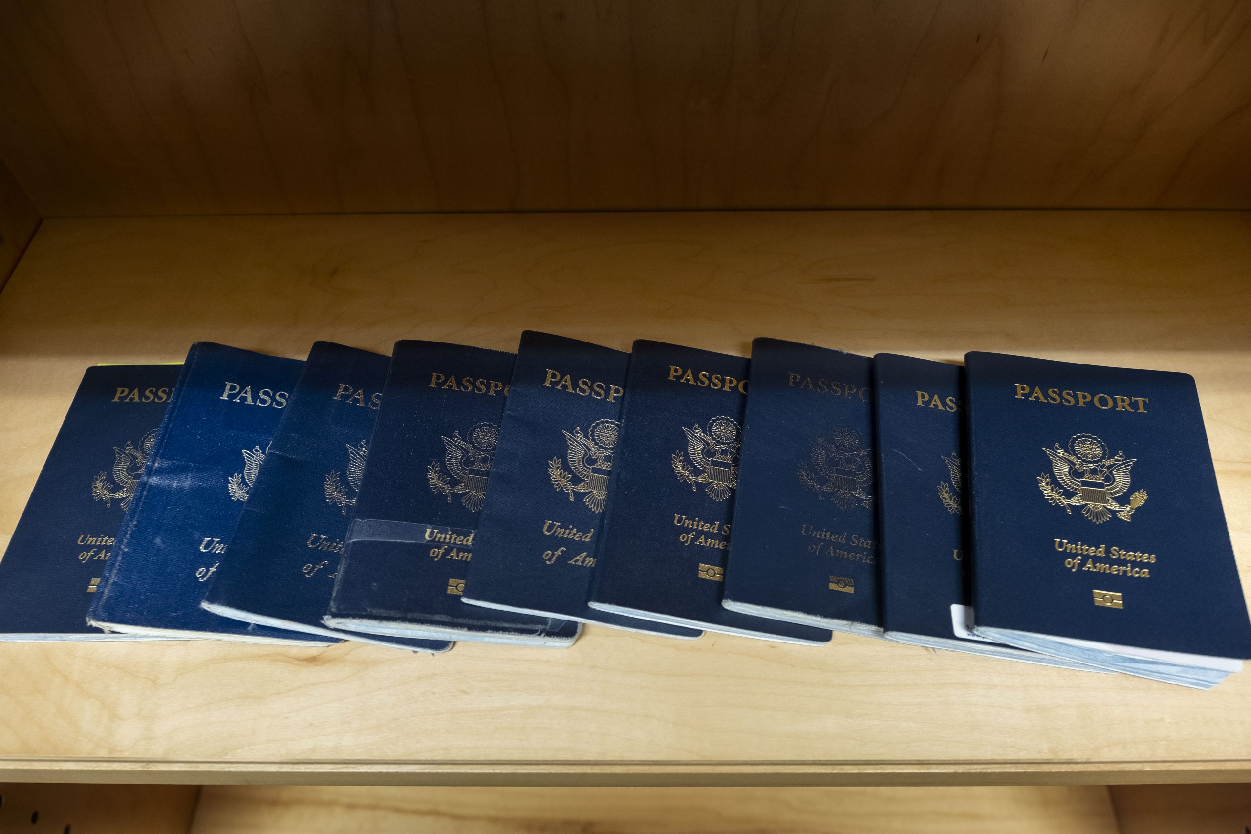 passports lined up on a shelf.