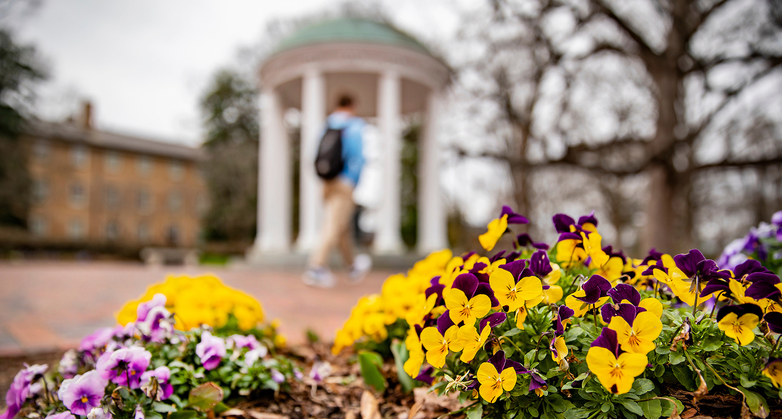 A student walks near the Old Well in front of flowers.