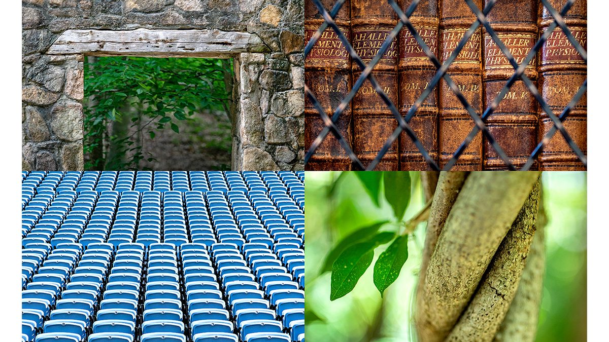 A collage of four campus photos, which includes a stone doorway from Forest Theater; Leather books on a Wilson library shelf; Rows of seats in Kenan Stadium; and vines twisting around each other.