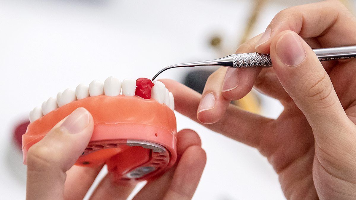 A student practices a dental procedure on a teeth mold.