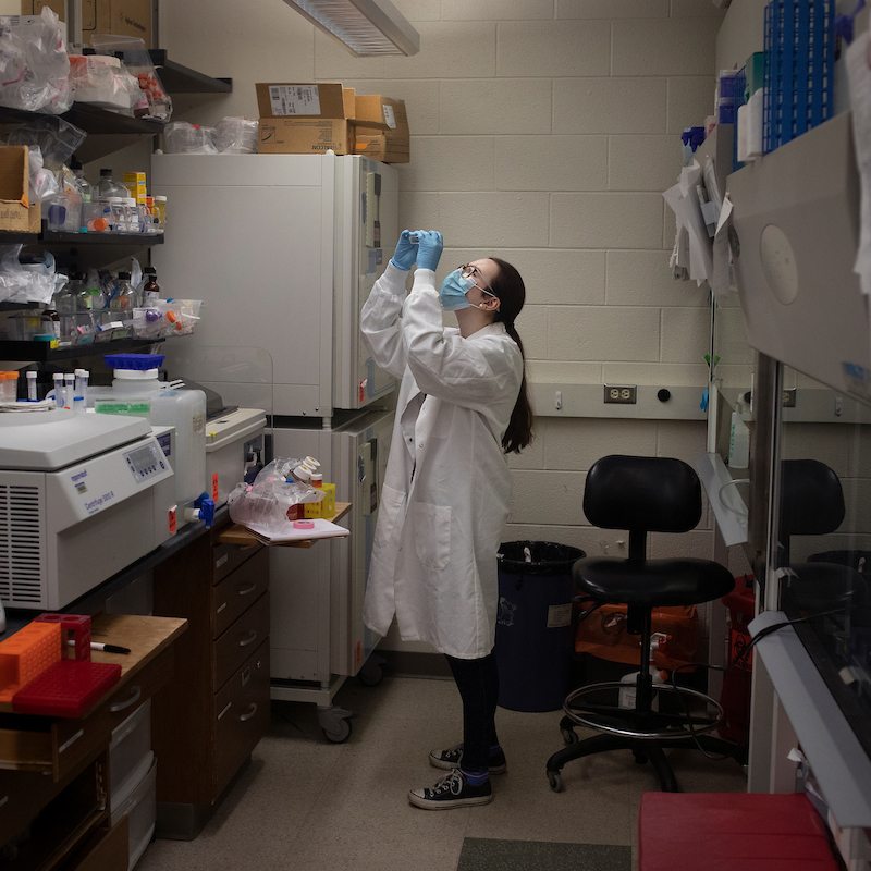 A researcher working in a lab.