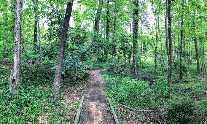 Get outdoors on Carolina's hiking trails