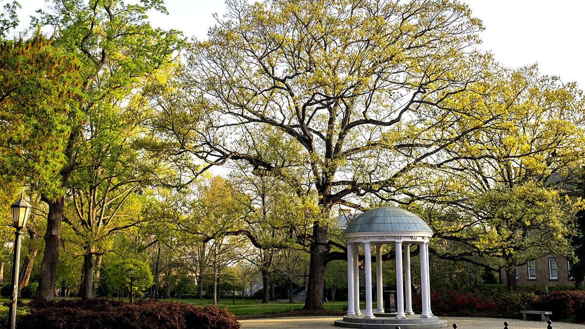 The Old Well in the spring.