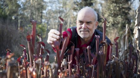 A man holds red plants in hands.