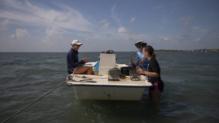 Three researchers stand around a boat in the water.