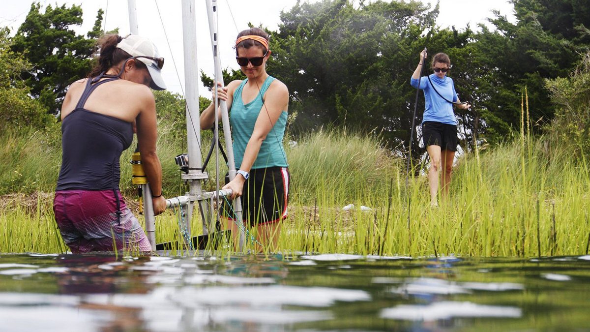 Graduate students perform research on local living shorelines.