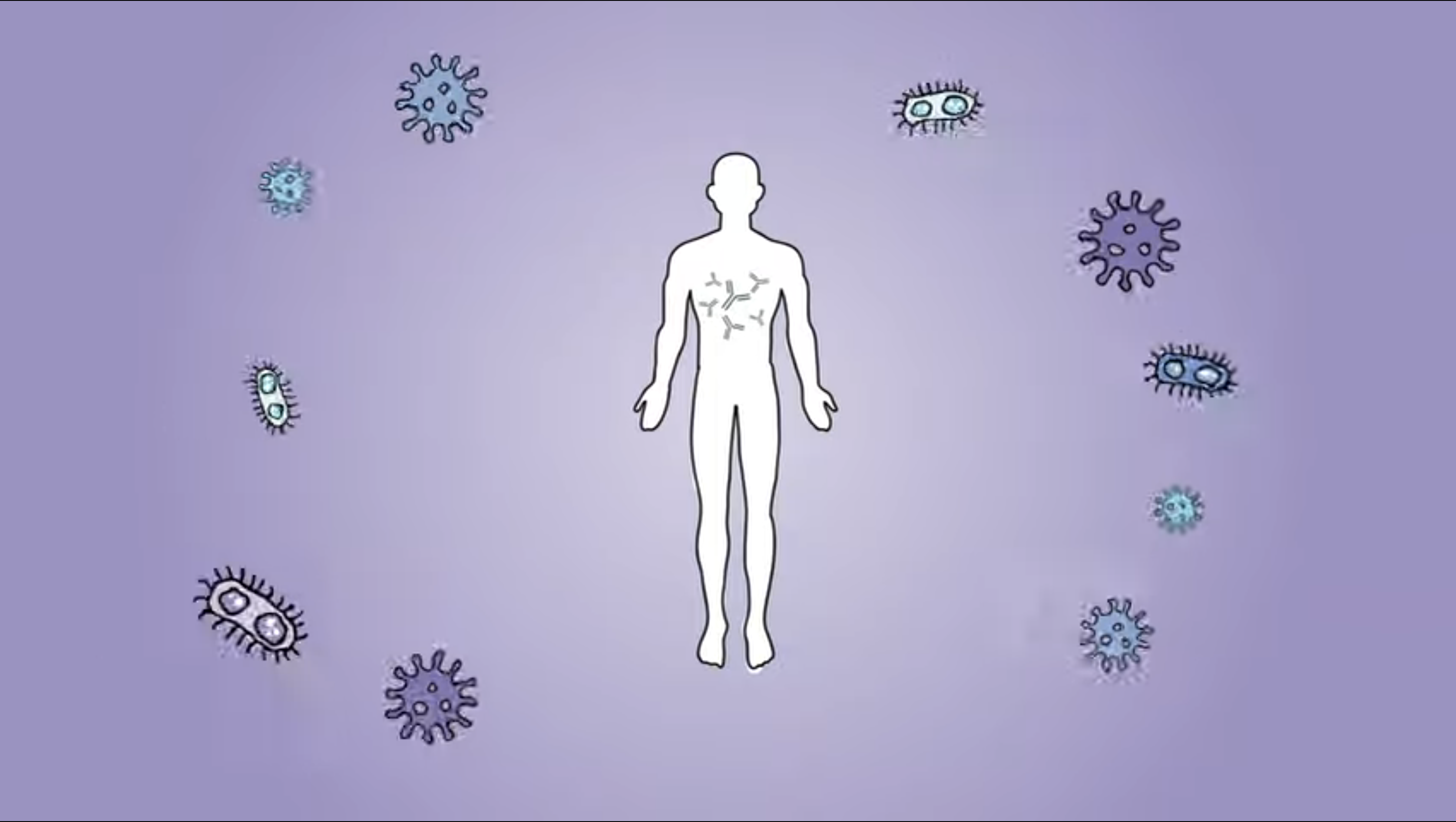 A drawing of a person with antibodies around them.