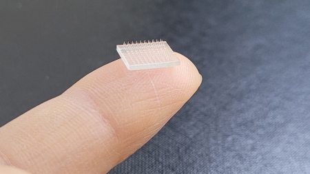 A microneedle patch.