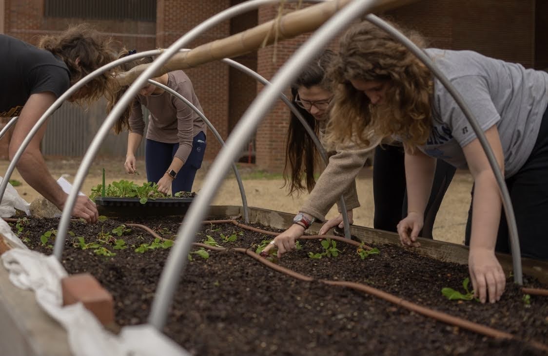 Students working in a flower bed.