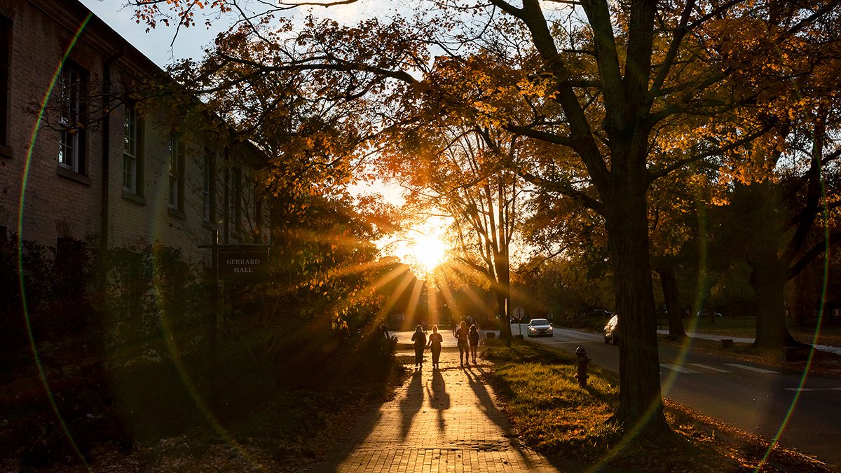 People walk into the sunset on a fall evening.