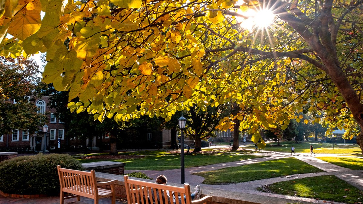 A person sits on a bench overlooking Polk Place.