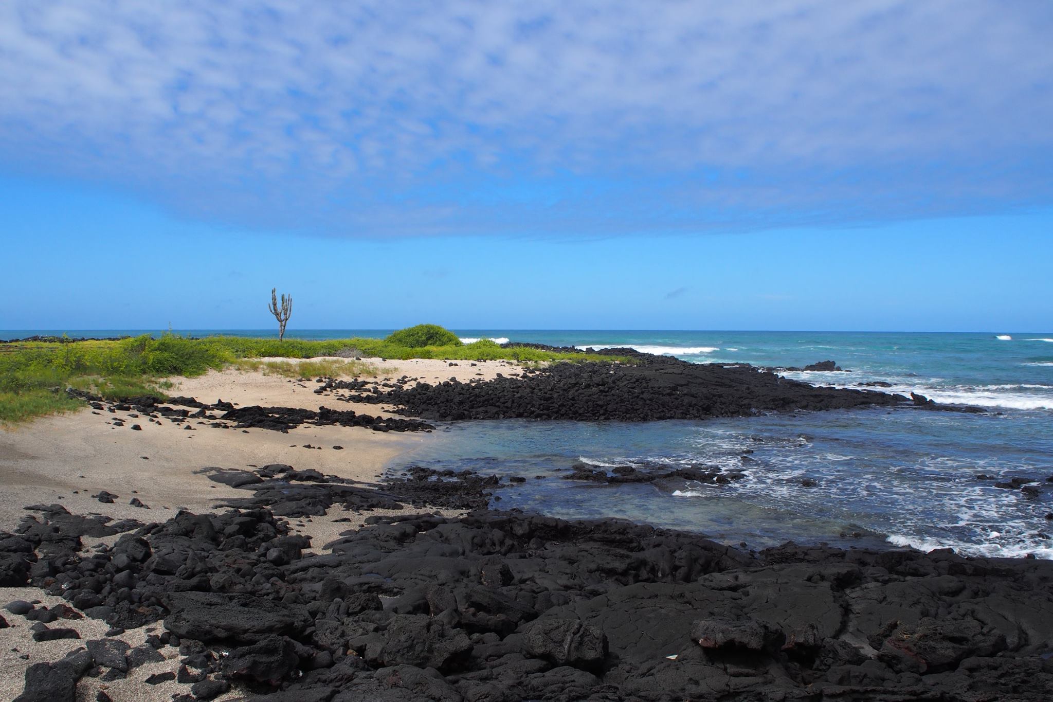 A stretch of beach near the Galapagos Science Center.