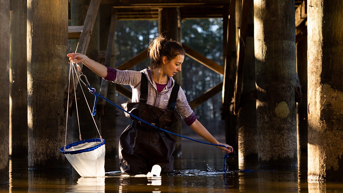 Emily Harmon collects samples under a fishing dock.
