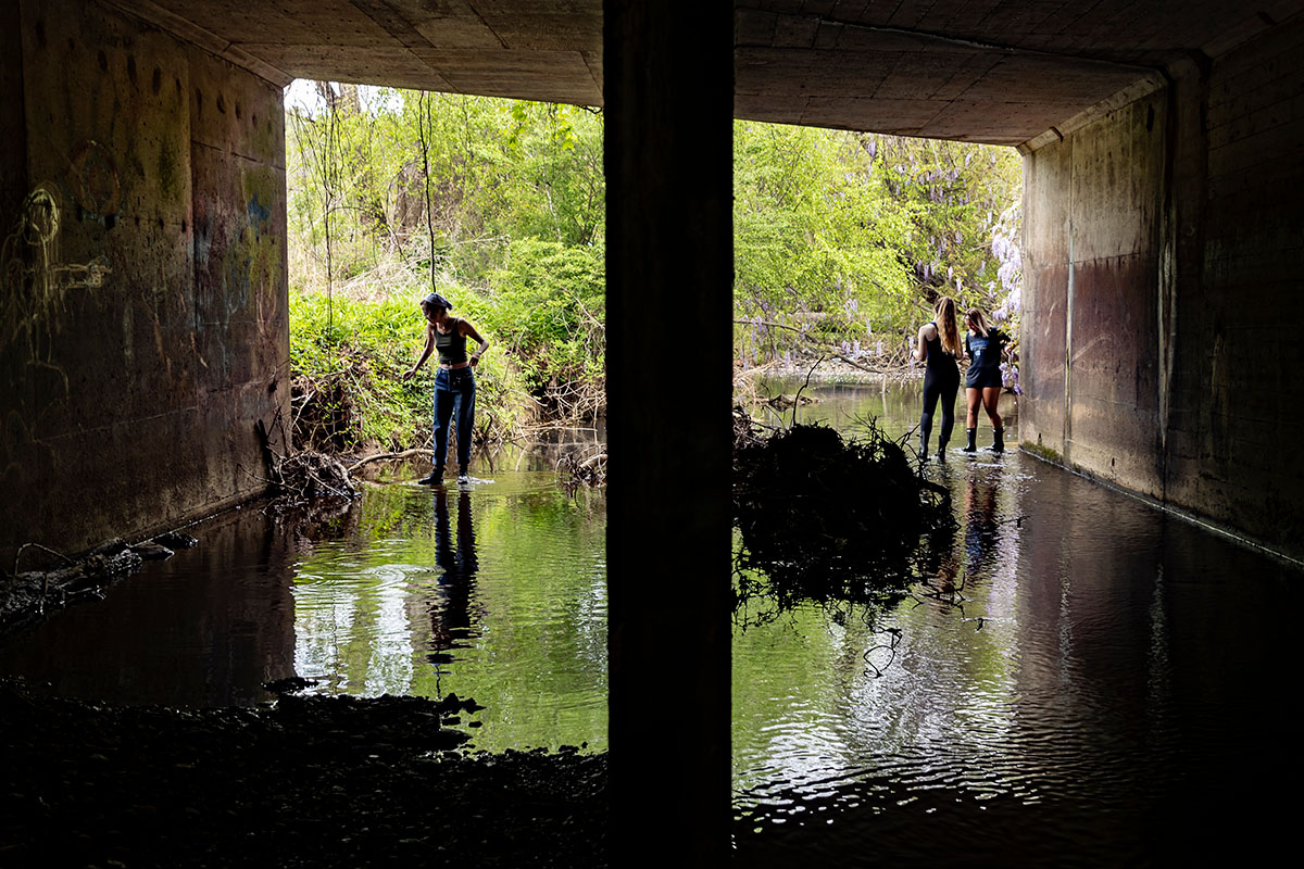 Students walking in a creek. 