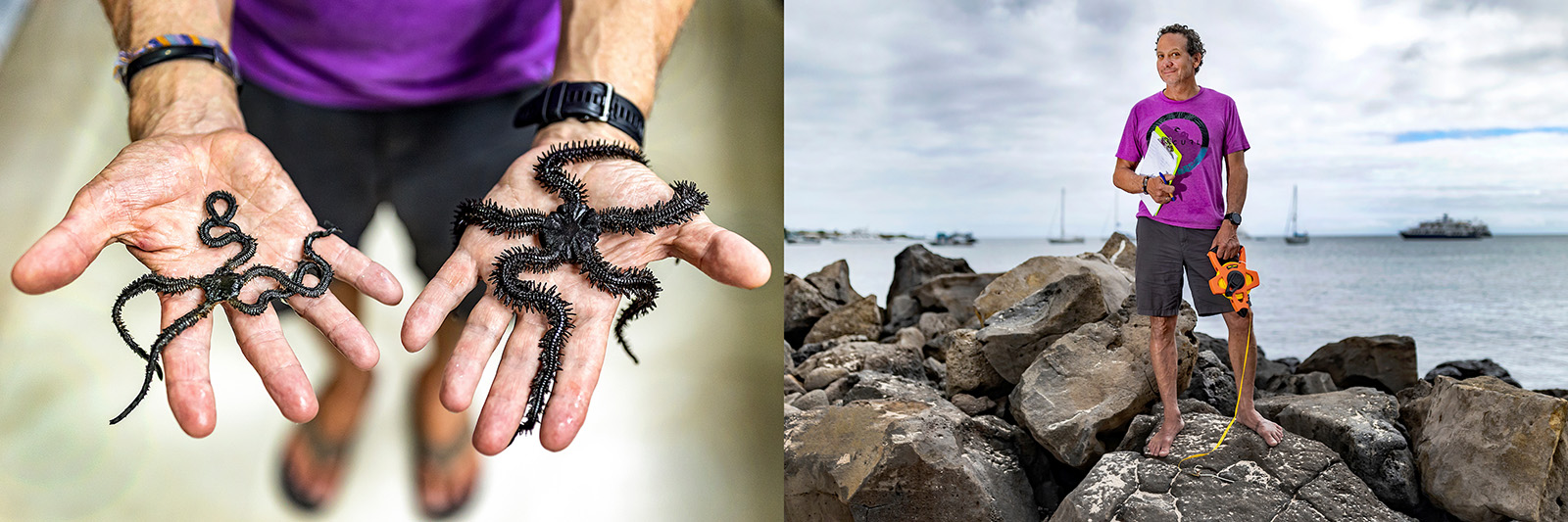 A man standing on a rock by the ocean, and a hand holding a brittle star.