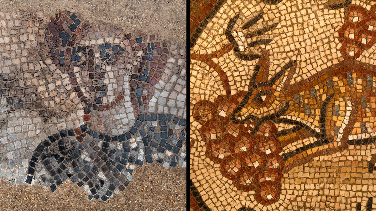 Mosaics of a woman and animal eating fruit.