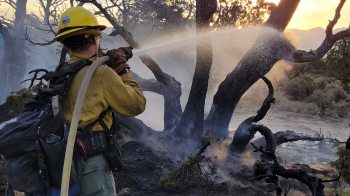 A firefighter spraying water with a hose.