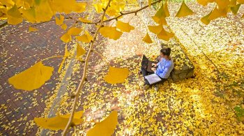 A student sits in a pile of yellow leaves.