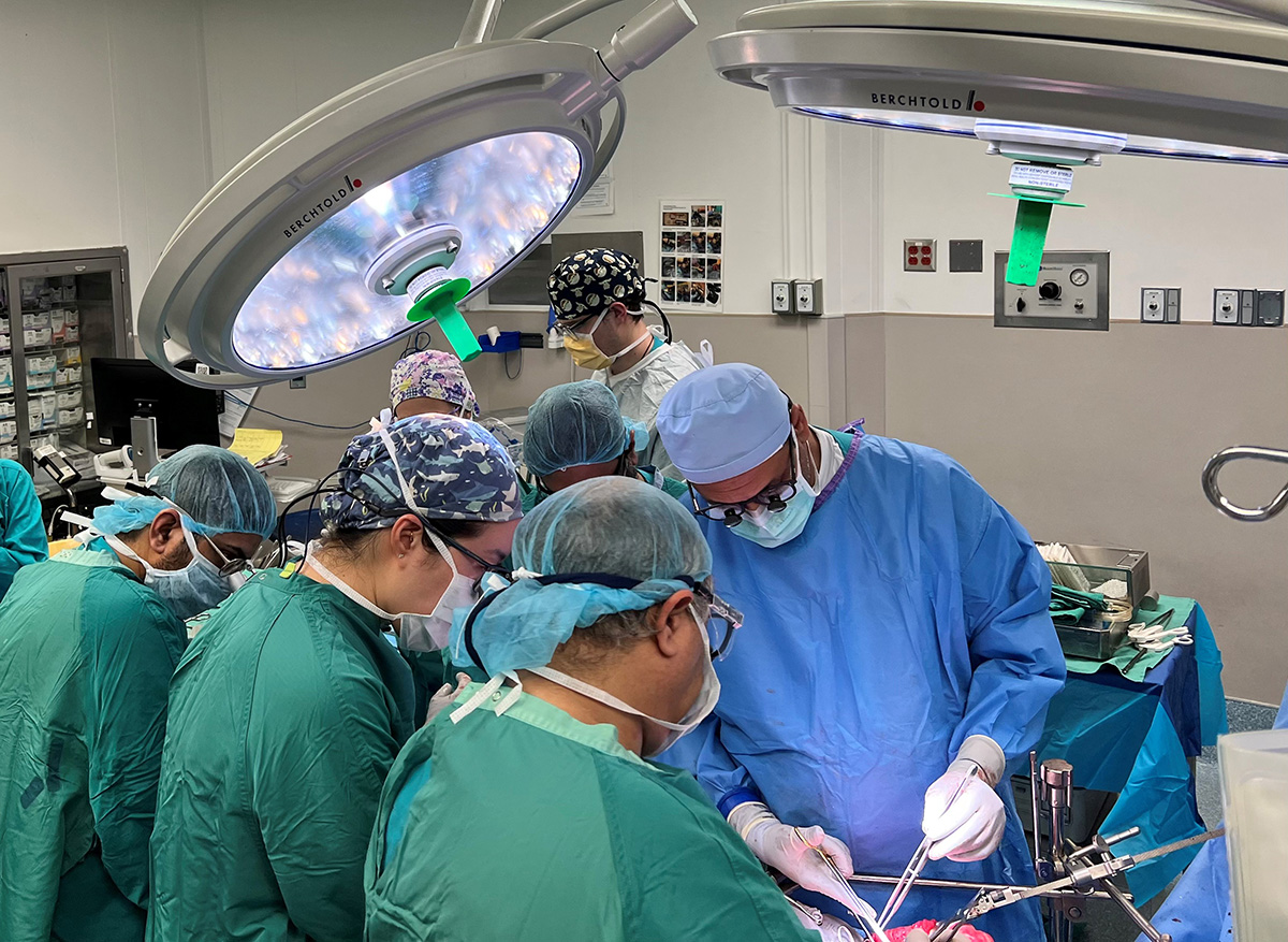 Doctors performing the liver transplant. 