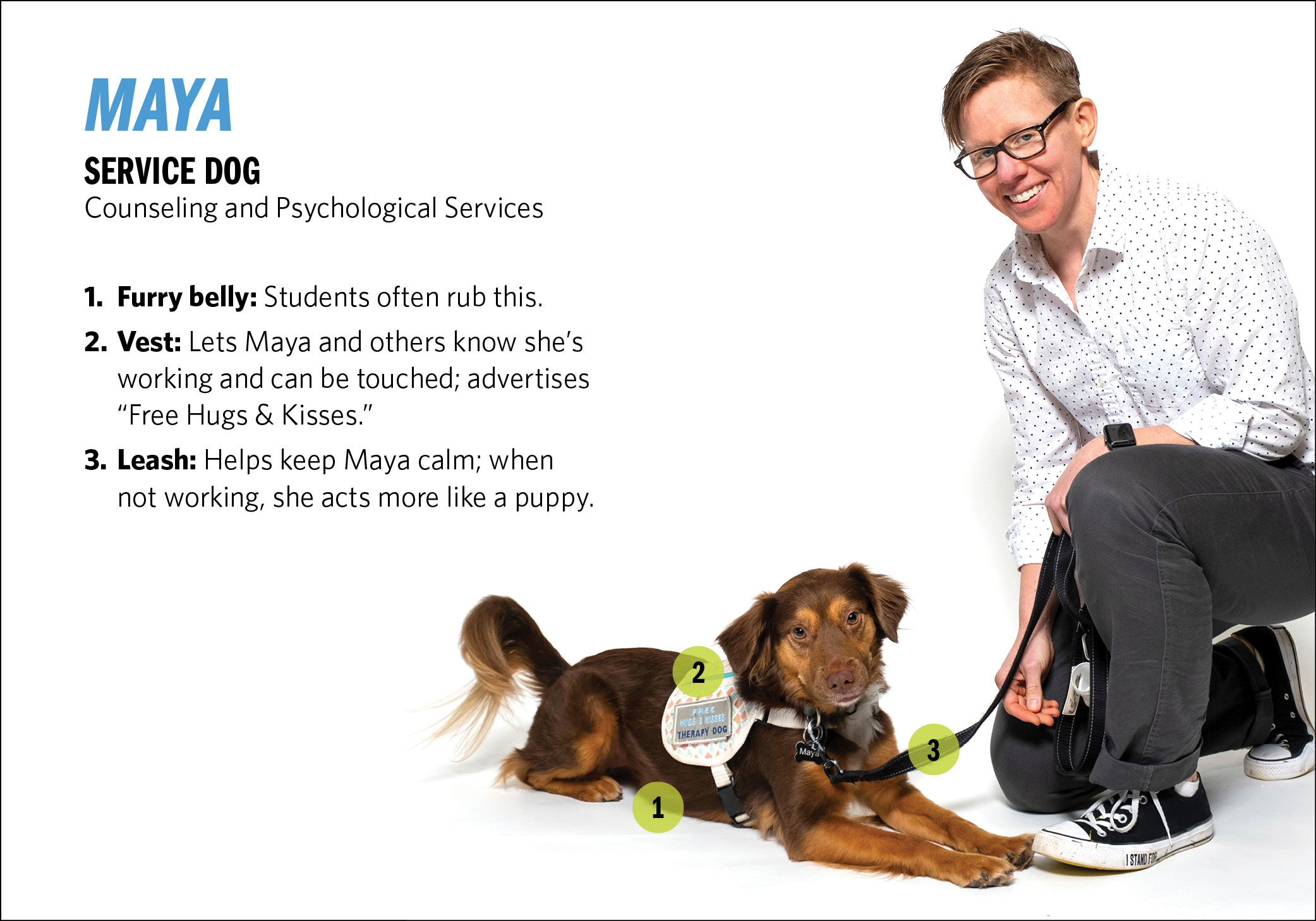 Service dog Maya and Avery Cook, associate director, Counseling and Psychological Services. Furry belly that students rub, vest that advertises “Free Hugs & Kisses,” leash.