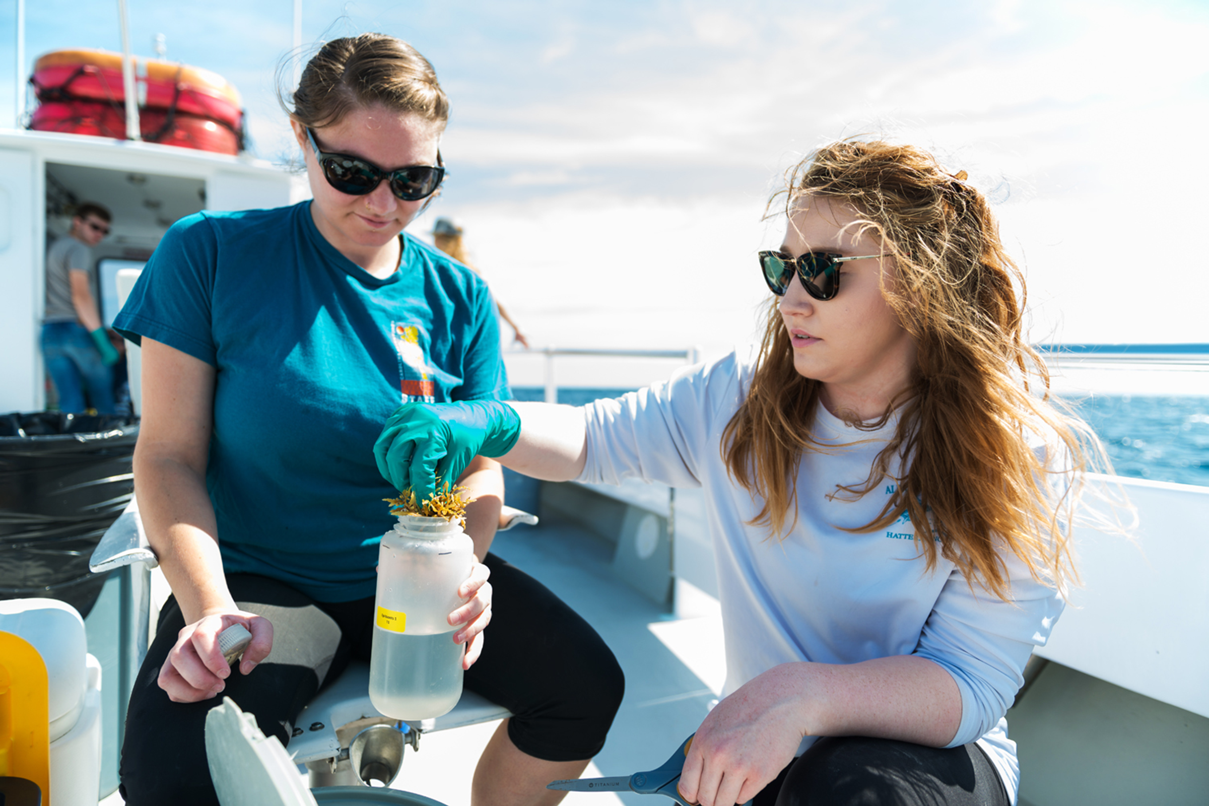 Two women on a boat in the ocean and a man in the background. One woman is placing seaweed into a container half-filled with water that is being held by another woman.