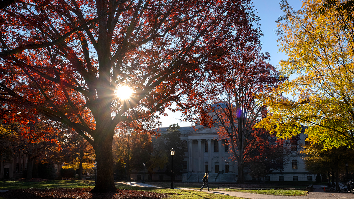 Morning scene of Polk Place on the campus of UNC-Chapel Hill with the sun shining and large trees with red, orange and yellow leaves. In the background, a person is walking on brick pathway and Wilson Library is in sight.