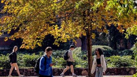 Students walk around campus during the fall season.