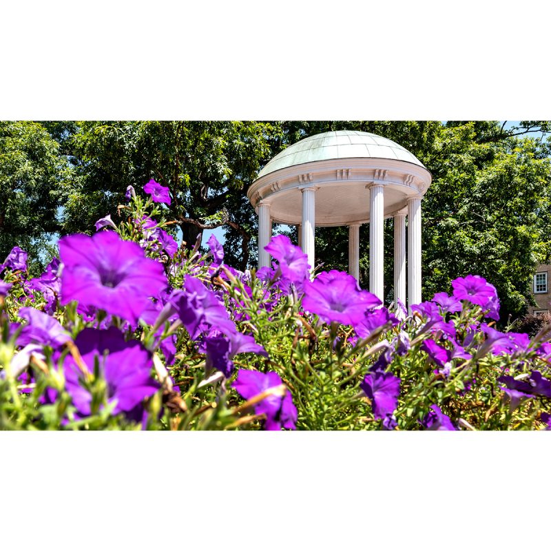 The Old Well on the campus of UNC-Chapel Hill with purple flowers in the foreground.