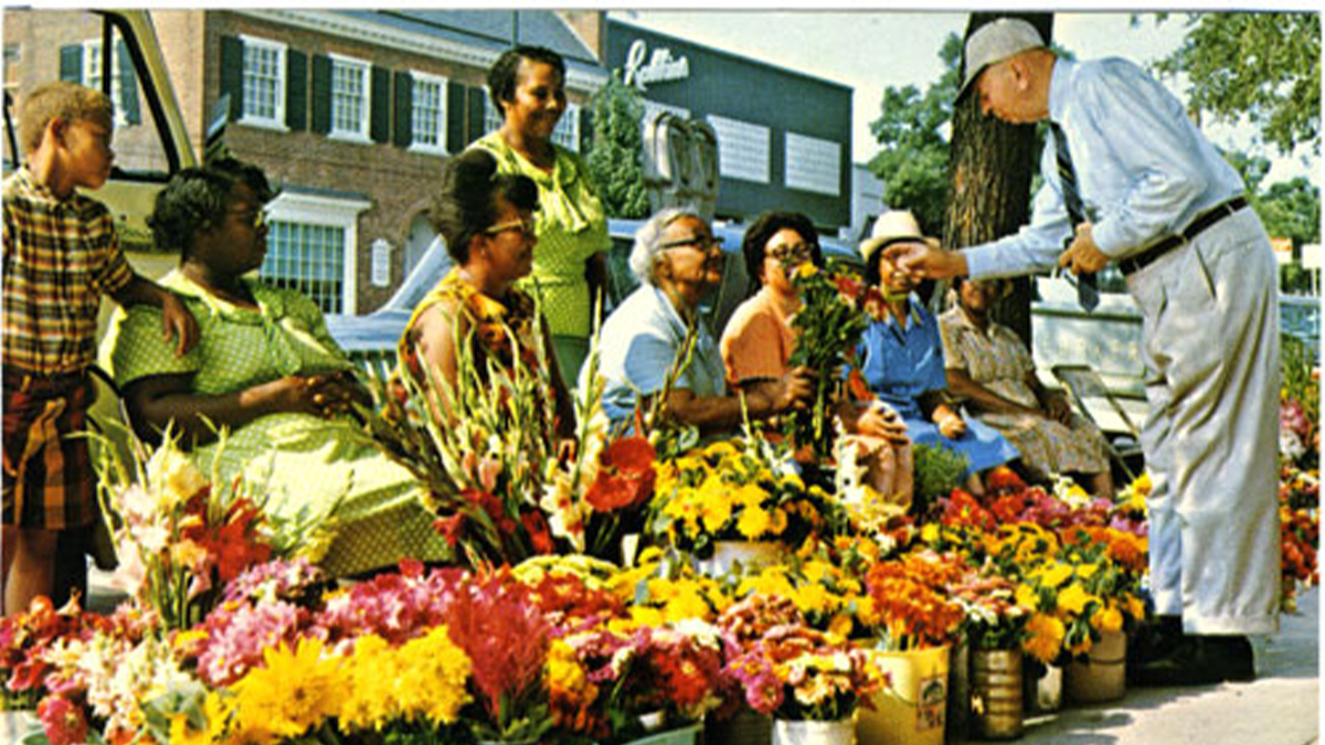 Old postcard image depicting a man, Robert B. House, former chancellor of UNC-Chapel Hill, buying flowers from a group of African-American florists known as the Flower Ladies on Franklin Street in Chapel Hill.