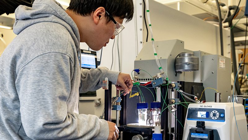 Hueynwoo Yang wearing grey sweatshirt and filling liquid vials with machinery.
