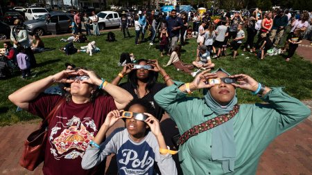 People wearing eclipse glasses look upward