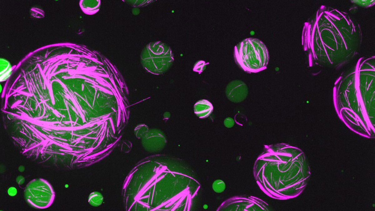 Animated green and pink artificial cells.